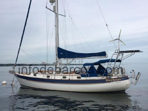 Valiant 40 opinión y ficha técnica